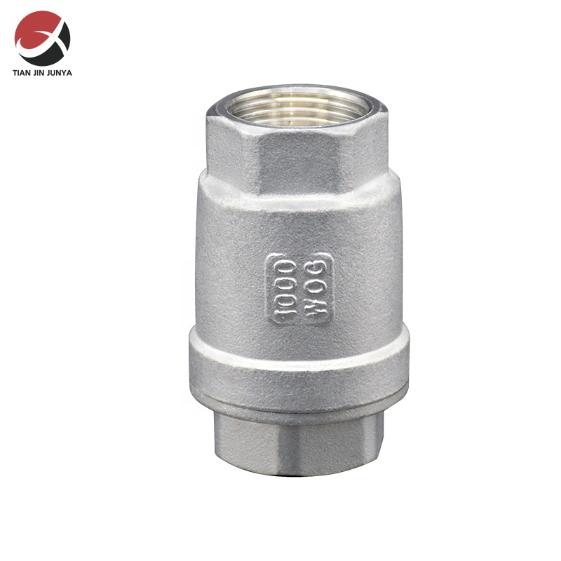 不鏽鋼二片(pian)式彈簧止回(hui)閥