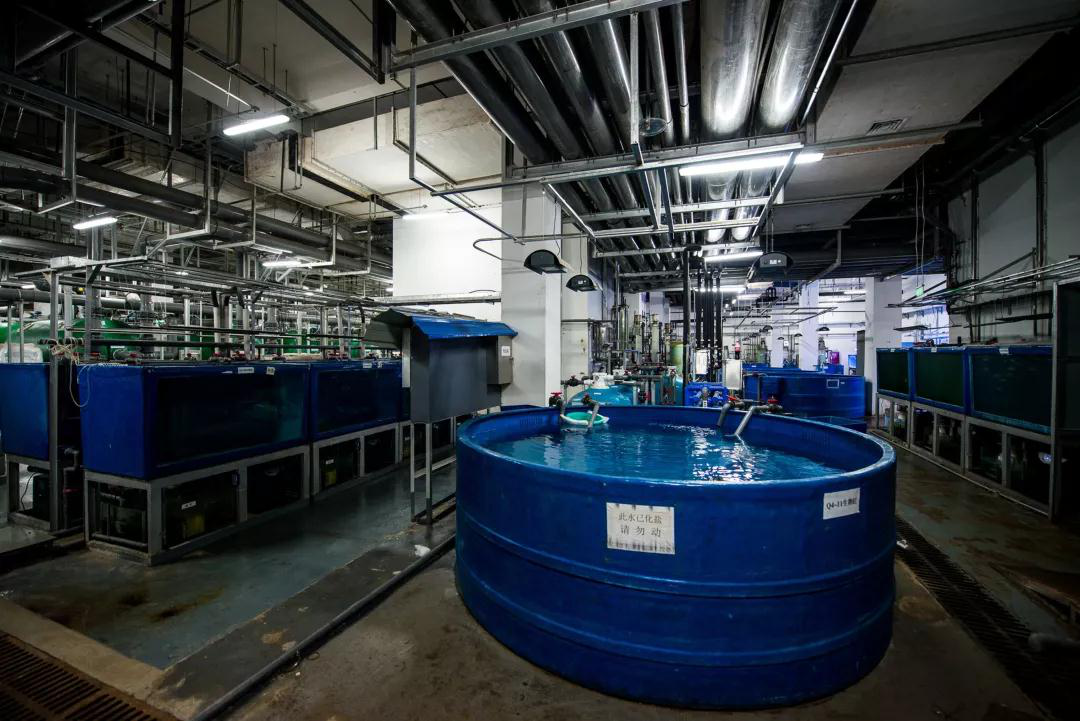 高溫球閥(fá),河北精密器(qi)件,卡套式球(qiú)閥,法蘭球閥(fa),不鏽鋼球閥(fa),anquan閥,止回閥,不(bú)鏽鋼接頭,不(bú)鏽鋼鑄造,不(bú)鏽鋼定制件(jiàn),不鏽鋼精密(mi)鑄造,金屬鑄(zhu)造,不鏽鋼鑄(zhù)造,轉椅基座(zuò),鑄造工藝,家(jiā)具配件,門配(pèi)件,失蠟鑄造(zào),精密設備,檢(jian)測設備 1-21061G52110295.png